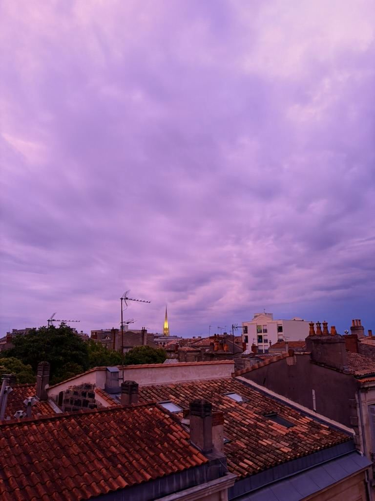 Terracotta rooftops of Bordeaux apartment buildings under a purple evening sky